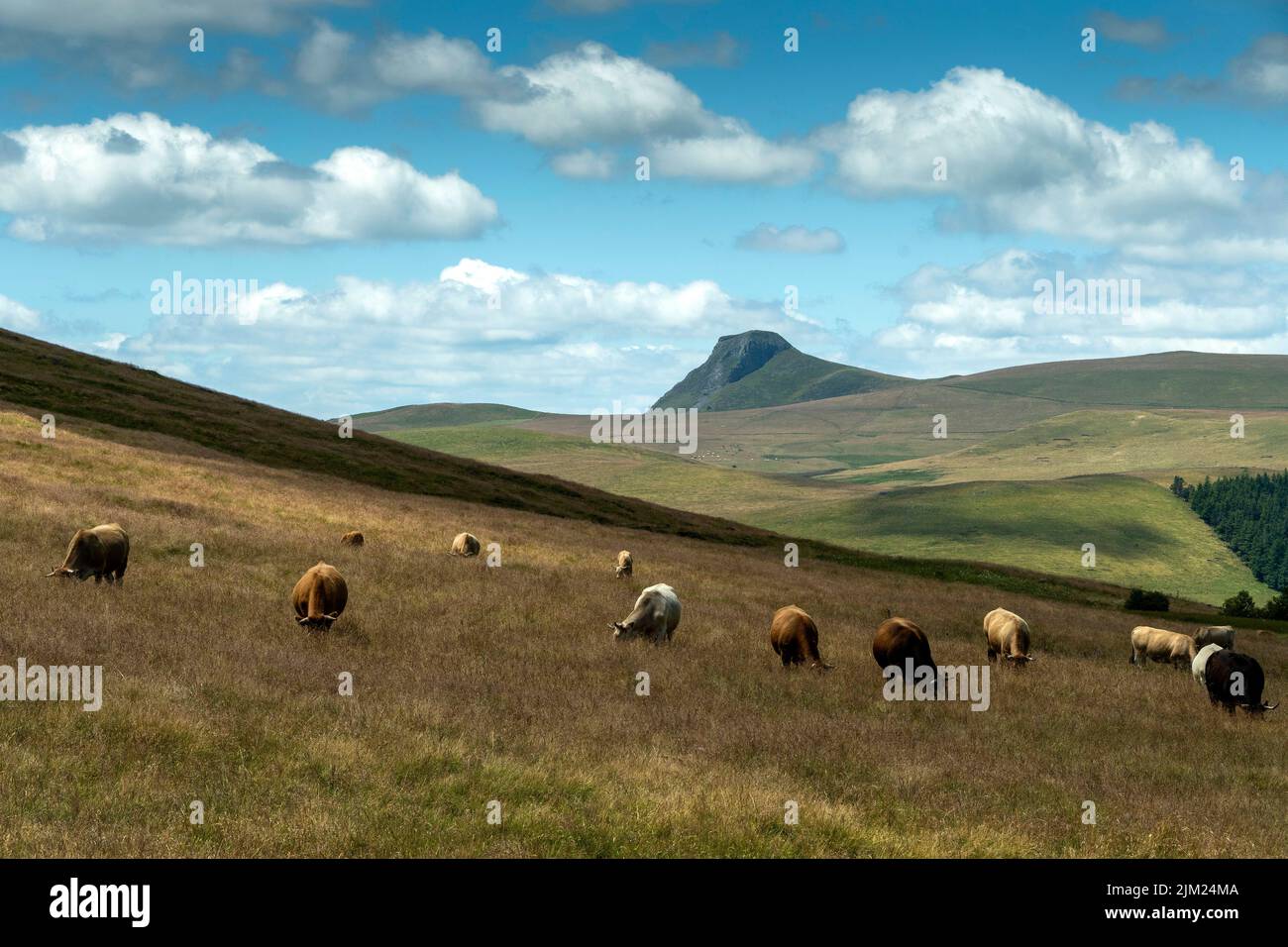 Blick auf Banne d'Ordanche, Regionaler Naturpark der Vulkane der Auvergne, Puy-de-Dome, Auvergne Rhône-Alpes, Frankreich Stockfoto