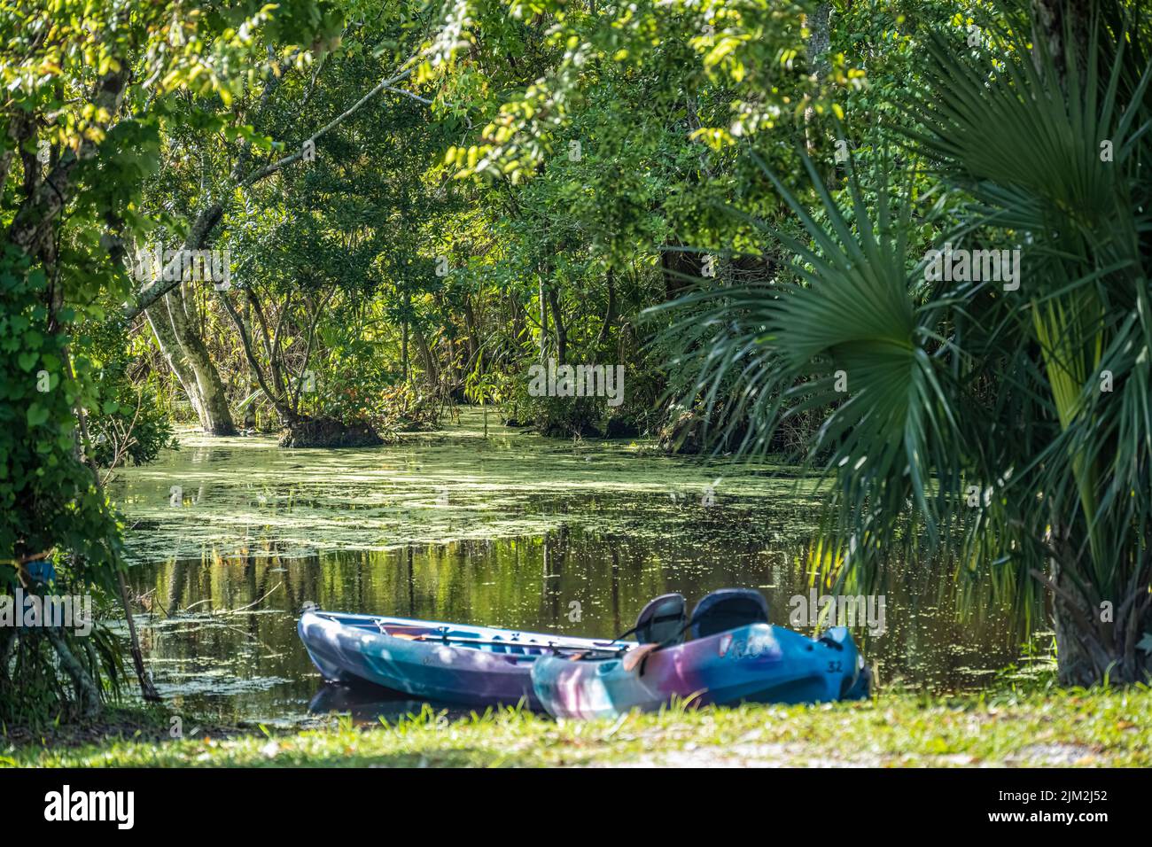 Kajakstart am North Guana Outpost am Guana River in Ponte Vedra Beach, Florida. (USA) Stockfoto