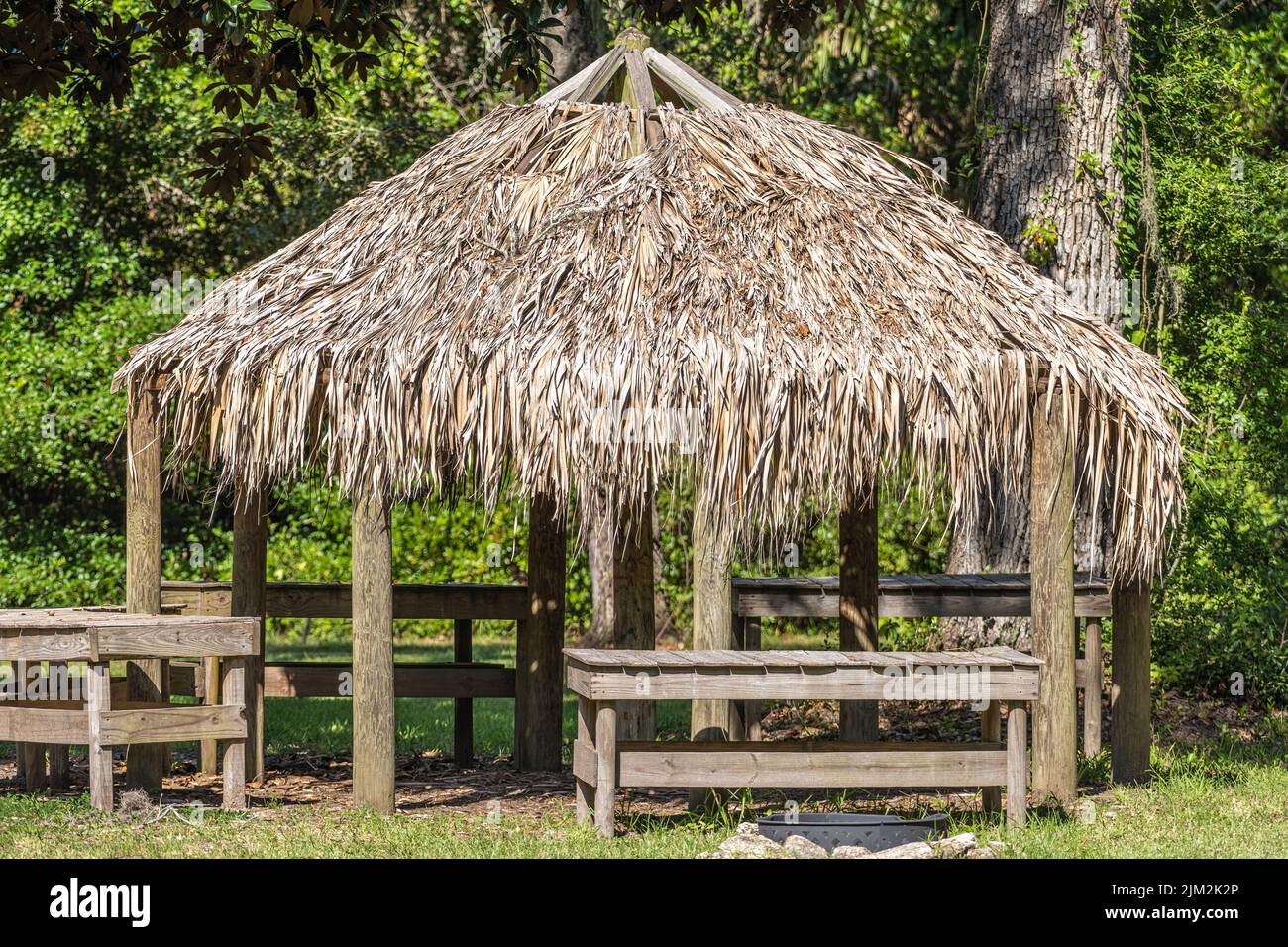 Palmenstrohgedeckte choza (Außenküche) im Fort Mose Historical State Park in St. Augustine, Florida. (USA) Stockfoto