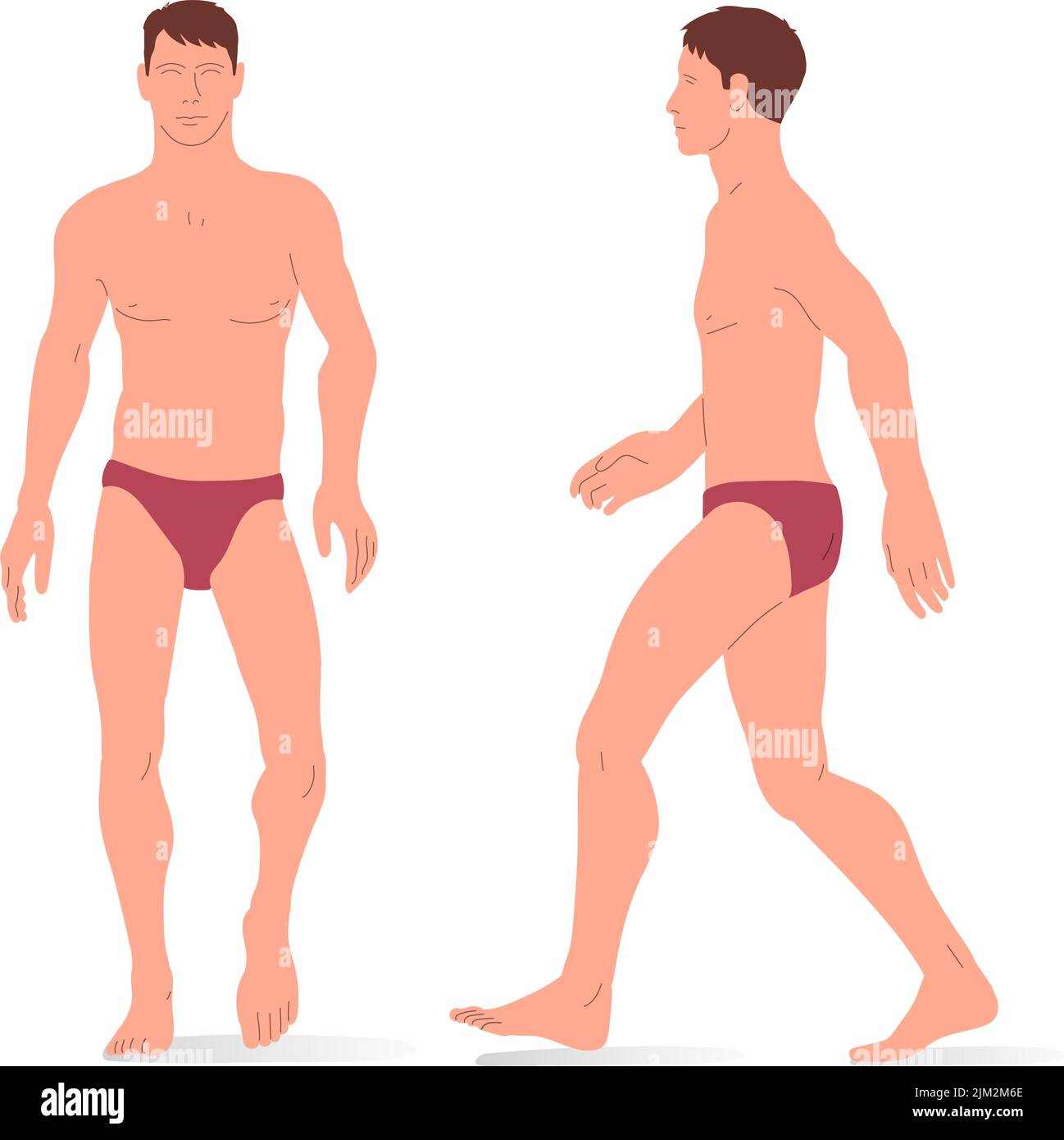Junger Mann, ganzer Körper eines Mannes, Vorder- und Seitenansicht. Isometrische Vektordarstellung. Stock Vektor