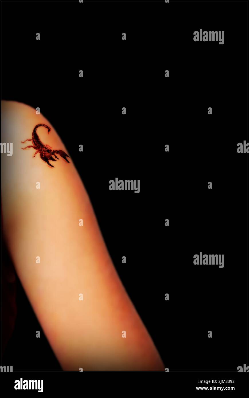 Skorpion-Tattoo auf dem Arm einer Frau Stockfoto