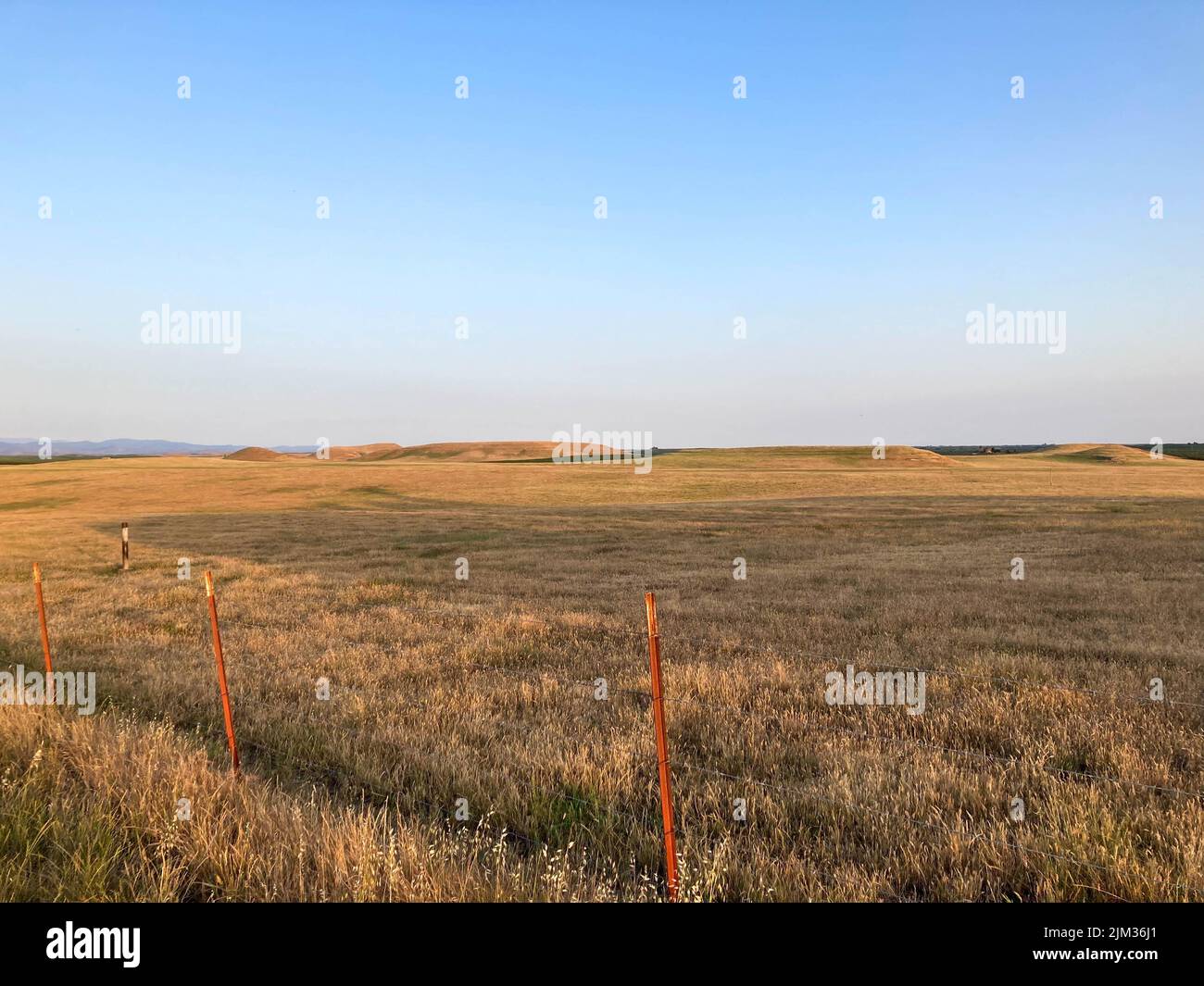 Leere Weide in der Landschaft von Oakdale, Kalifornien. Stockfoto