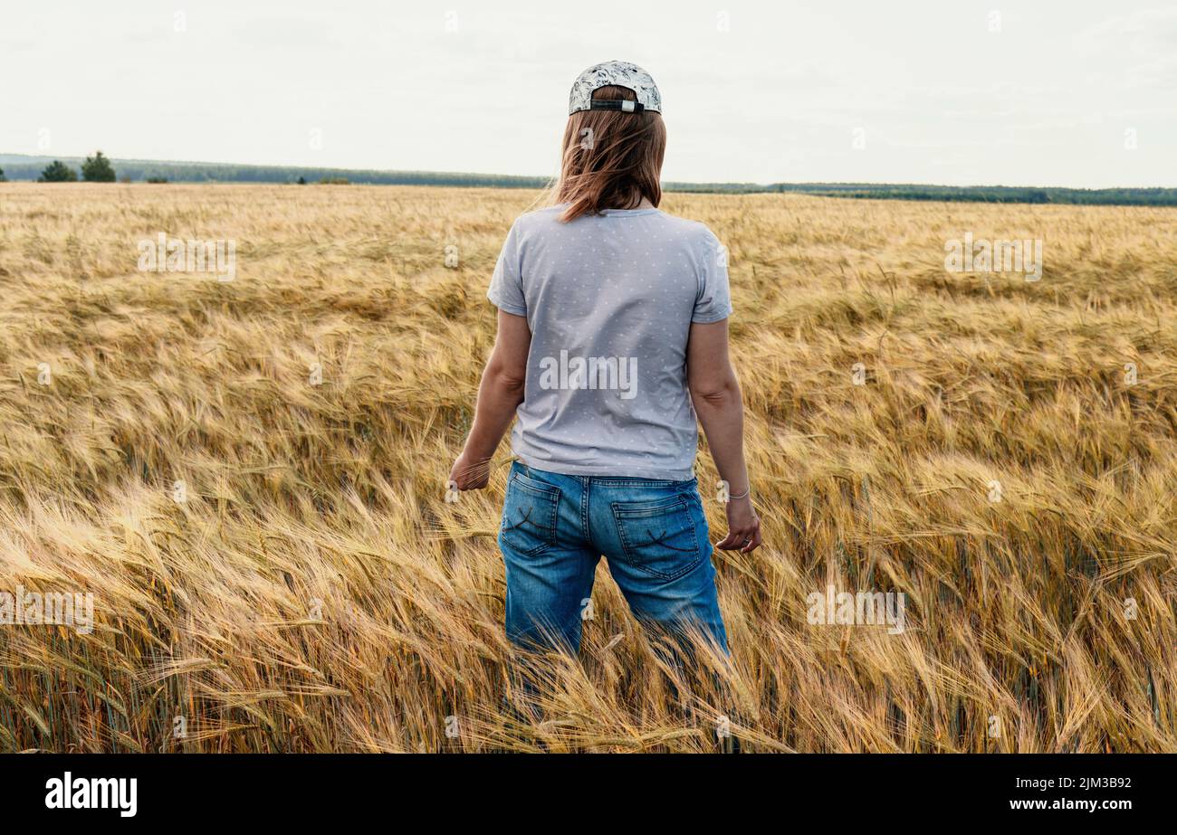 Rückansicht Frau in Jeans zwischen gelber, trockener Getreideweizenfeld-Landwirtschaft und Getreideernte Mockup-freundlich Stockfoto