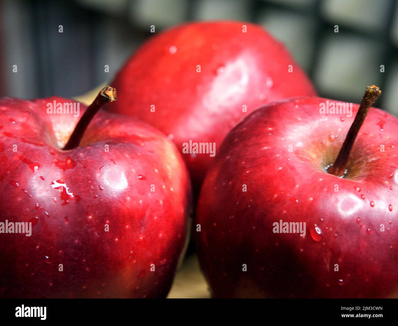 Drei große rote Äpfel der Sorte Red Chief. Wassertropfen auf Früchten. Stockfoto