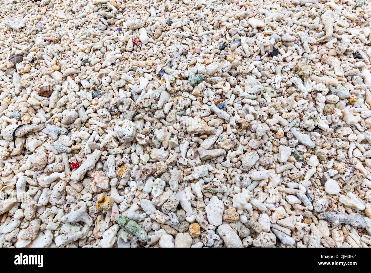 Nach einem Korallenbleichungsereignis auf Mahe Island, Seychellen, wurden an einem Strand Stücke von toten, gebleichten Korallenriffs ausgewaschen. Stockfoto