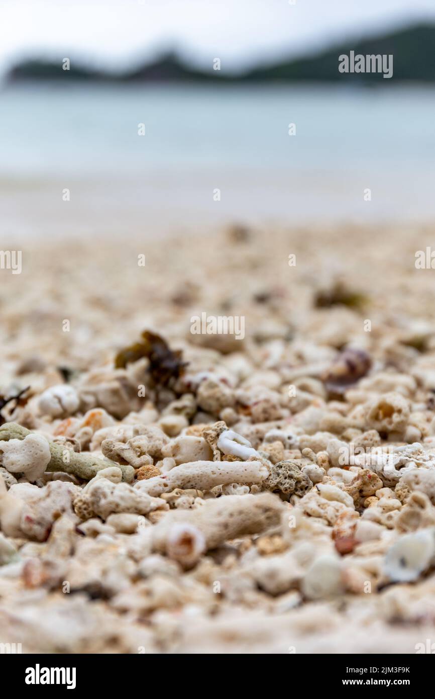 Nach einem Korallenbleichungsereignis auf Mahe Island, Seychellen, wurden an einem Strand Stücke von toten, gebleichten Korallenriffs ausgewaschen. Stockfoto