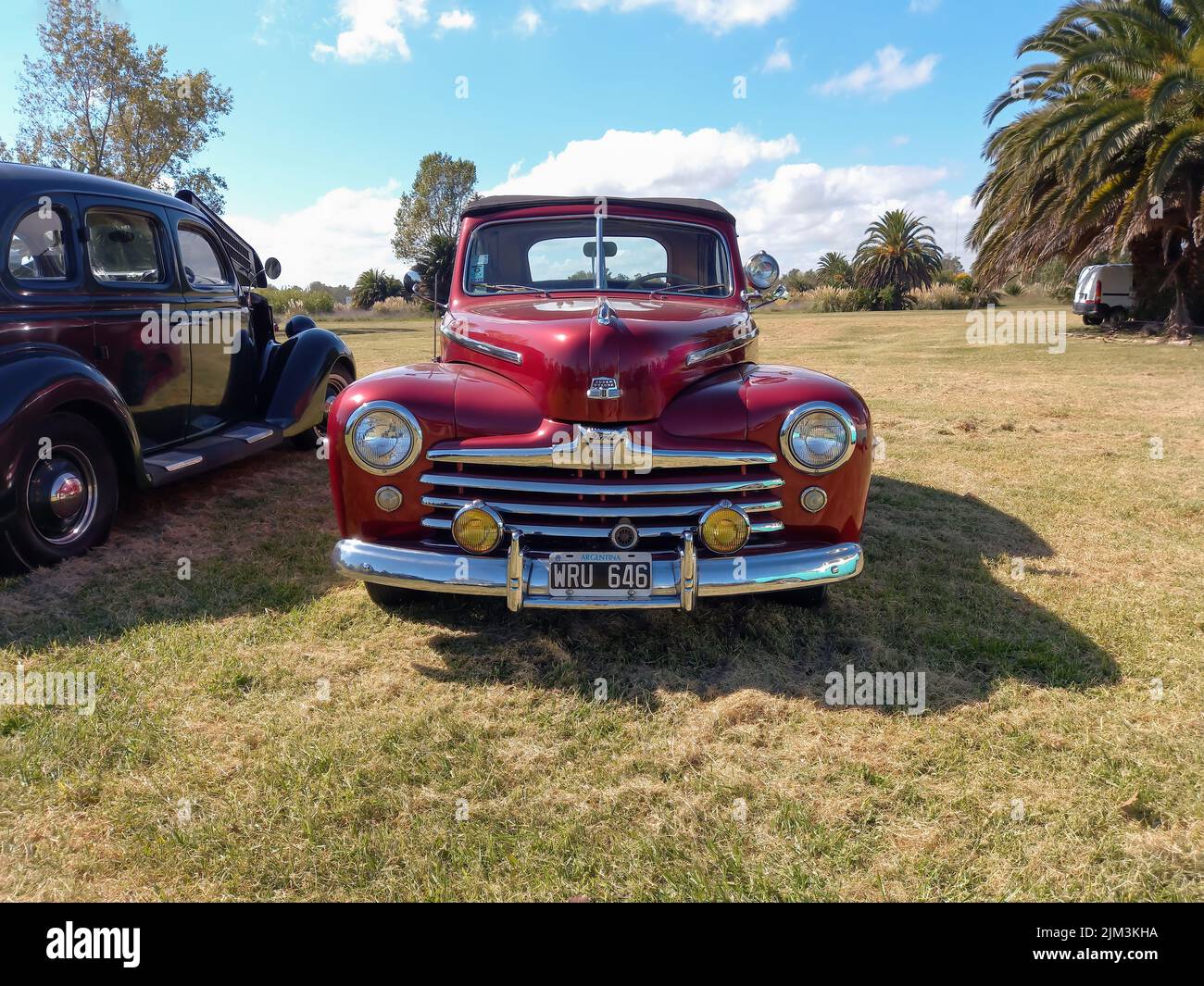 Old Red Ford Super Deluxe 8 Cabriolet 1946 - 1948 auf dem Rasen. Vorderansicht. Naturbäume. Vorderansicht. Grill. Abzeichen. Oldtimer-Show. Copyspace Stockfoto