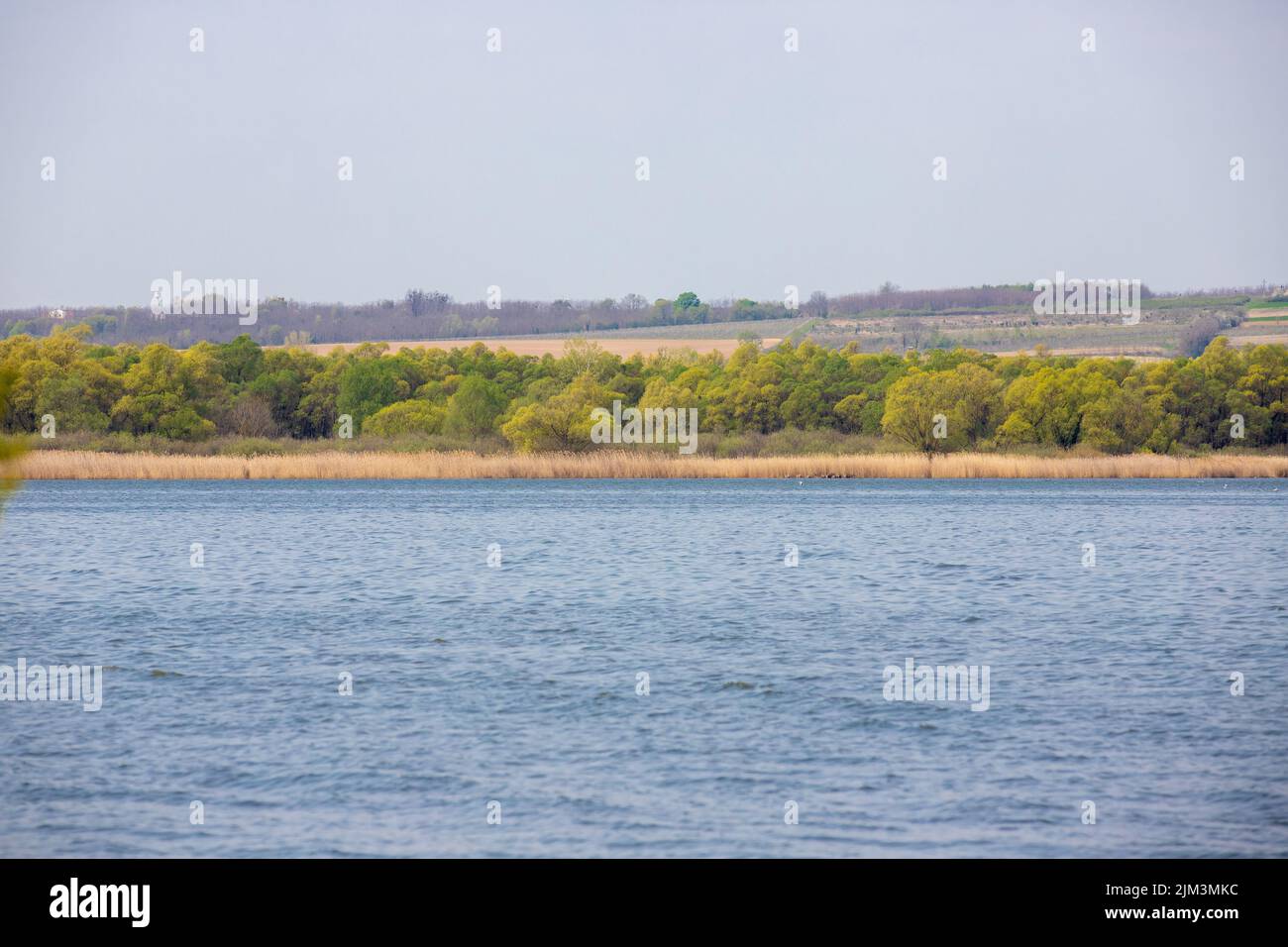 Landschaft aus dem kleinen Balaton Seengebiet - Ungarn, Frühling, Natur Stockfoto