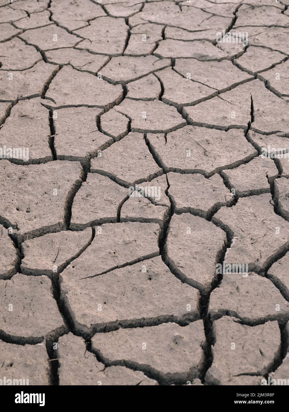 Rissige ausgetrocknete Schlamm in einem Dürre Hintergrund - trockene Erde Haut trockenen Flussbett Hintergrund Stockfoto