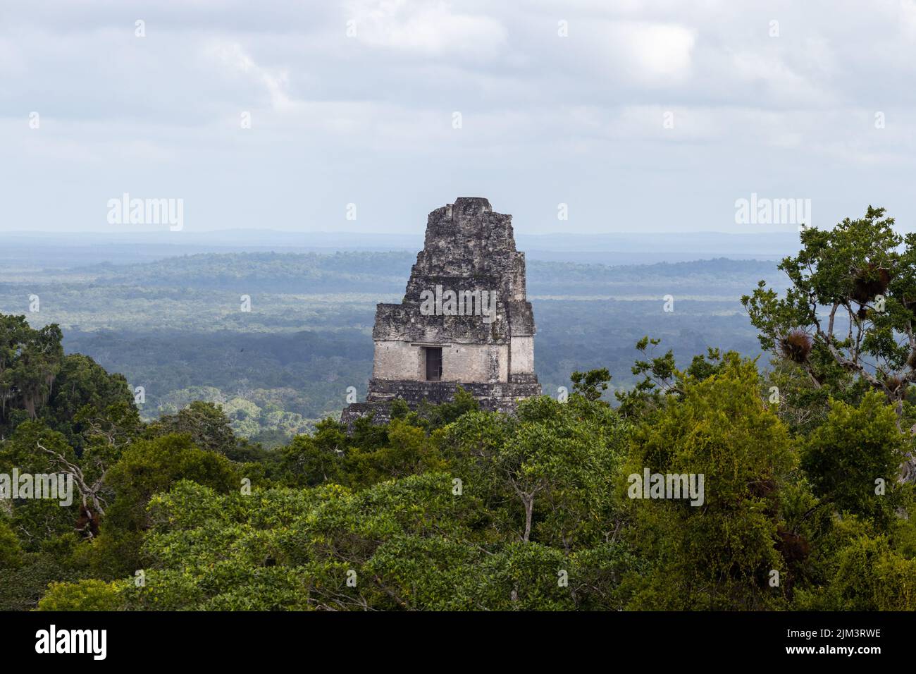 Tempel 1 oder gran jaguar gran plaza uralte maya-Ruinen über dem Dschungelwald in tikal guatemala. Stockfoto