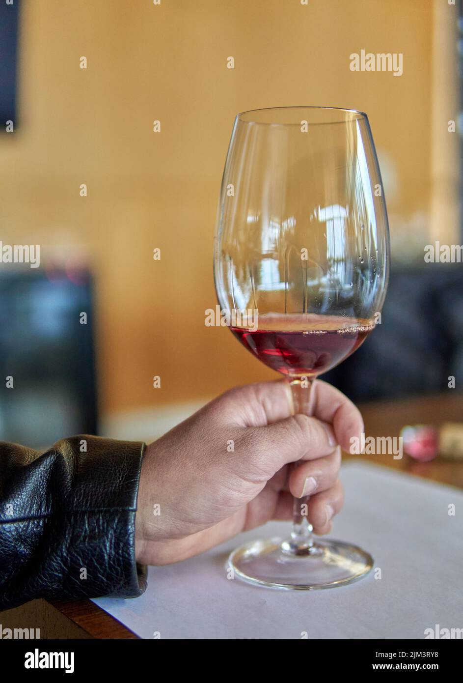 Hand des Mannes hält ein Glas Rotwein. Besuch im Urlaub ein Weingut in mendoza argentinien. Weinprobe. Selektiver Fokus Stockfoto