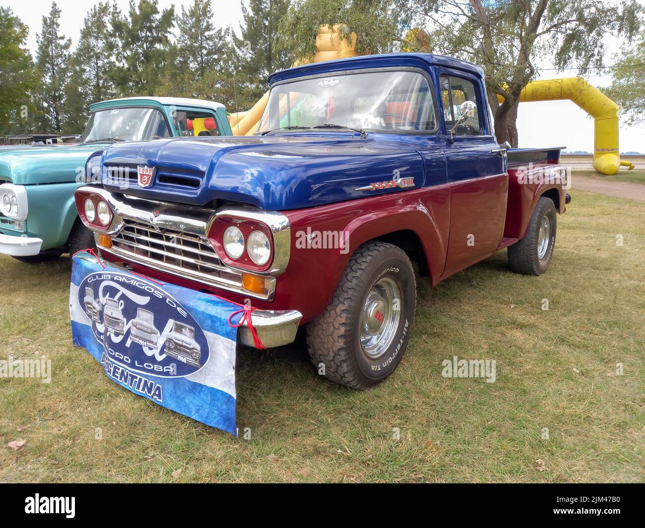 Alter rot-blauer Utility Pickup Ford F 100 V8 Flareside dritte Generation 1960. Naturgrasbäume. Oldtimer-Show. Copyspace Stockfoto