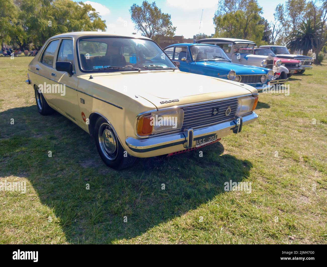 Old Dodge 1500 Sedan 1970s von Chrysler Argentina auf dem Land. Natur Gras Bäume im Hintergrund. Klassisches Economy-Auto. Stockfoto