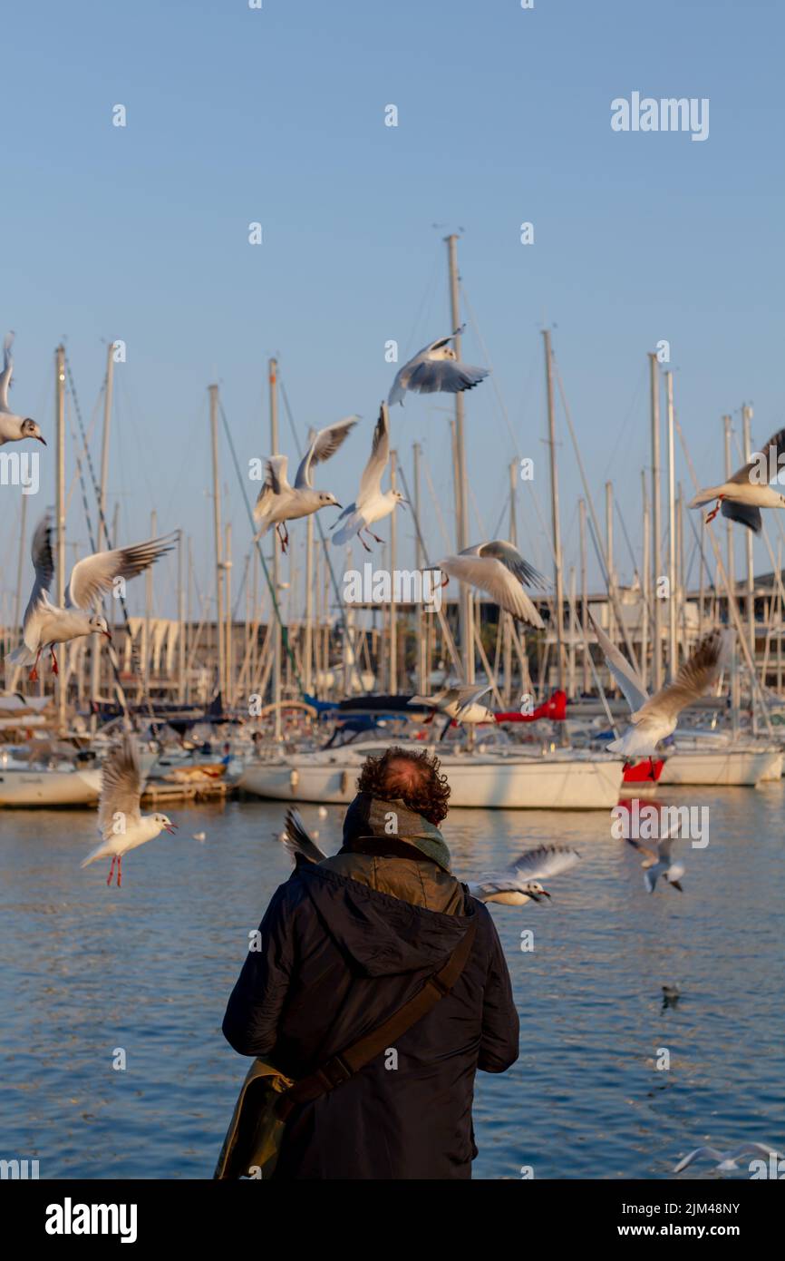 Barcelona, Spanien-19. Januar 2022: Mann auf dem Rücken füttert Möwen im Hafen von Barcelona (Spanien), selektiver Fokus auf den Menschen. Stockfoto