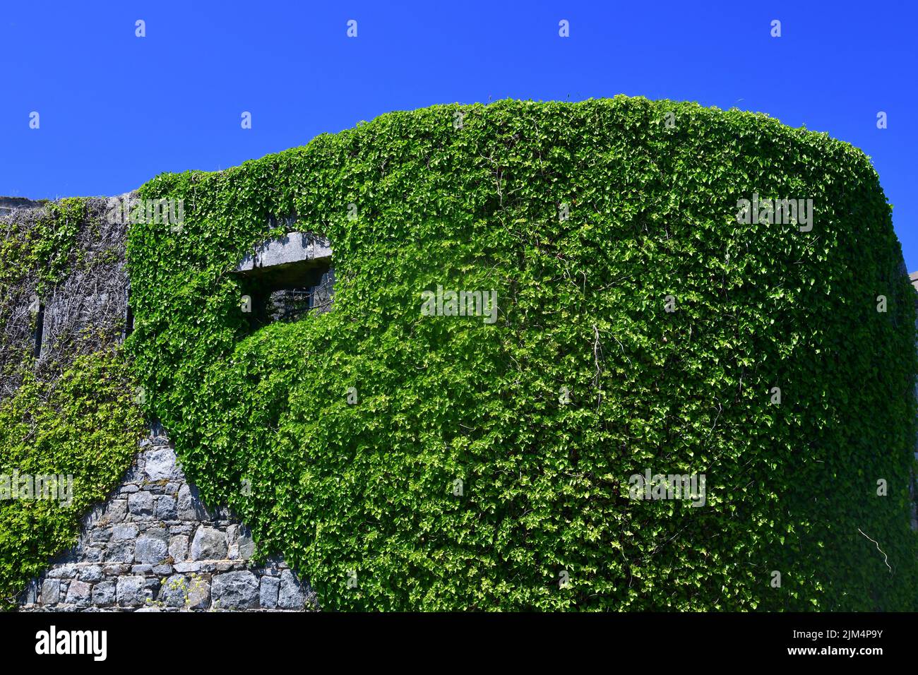 In viktorianischer Zeit als eine beträchtliche Festung erbaut Fort Tourgis wurde von den deutschen Streitkräften während des Zweiten Weltkriegs, Alderney, Channel Island, als Verteidigungseinrichtung genutzt Stockfoto