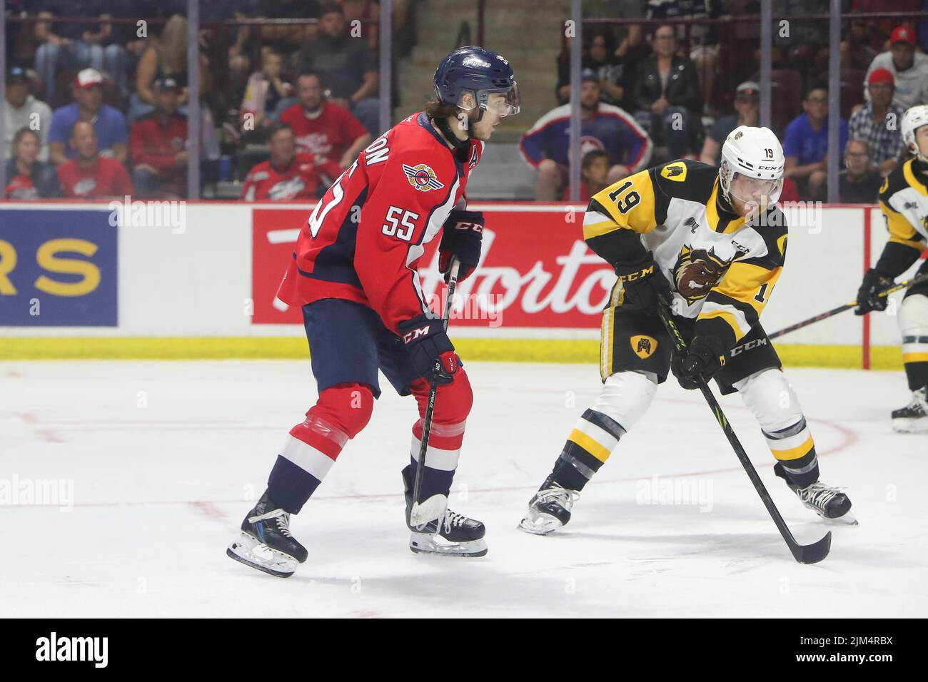 Jun 13 2022 Windsor Ontario Canada, Windsor Spitfires besiegte die Hamilton Bulldogs 5-2, um ein Spiel 7 zu zwingen. Wyatt Johnston (55) von Windsor Spitfires.(E Stockfoto