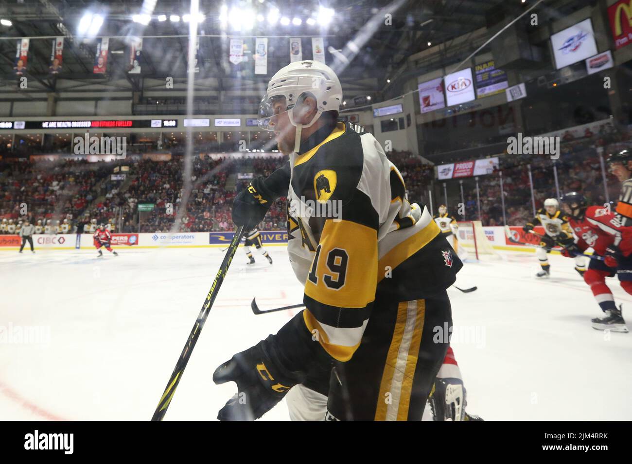 Jun 13 2022 Windsor Ontario Canada, Windsor Spitfires besiegte die Hamilton Bulldogs 5-2, um ein Spiel 7 zu zwingen. Giordano Biondi(17) von den Hamilton Bulldogs. Stockfoto