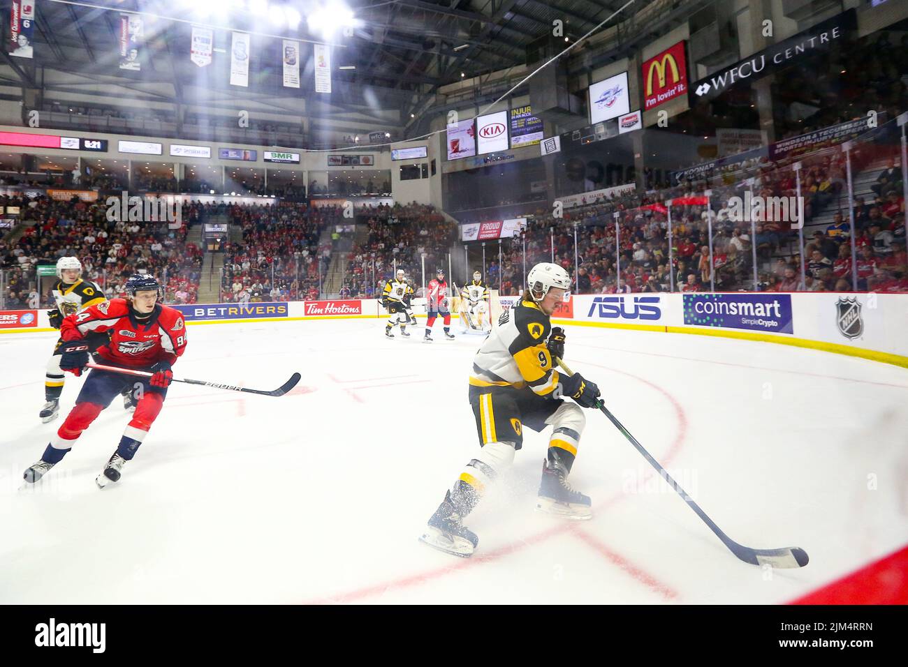 Jun 13 2022 Windsor Ontario Canada, Windsor Spitfires besiegte die Hamilton Bulldogs 5-2, um ein Spiel 7 zu zwingen. Logan Morrison(9) von den Hamilton Bulldogs.(Ed Stockfoto