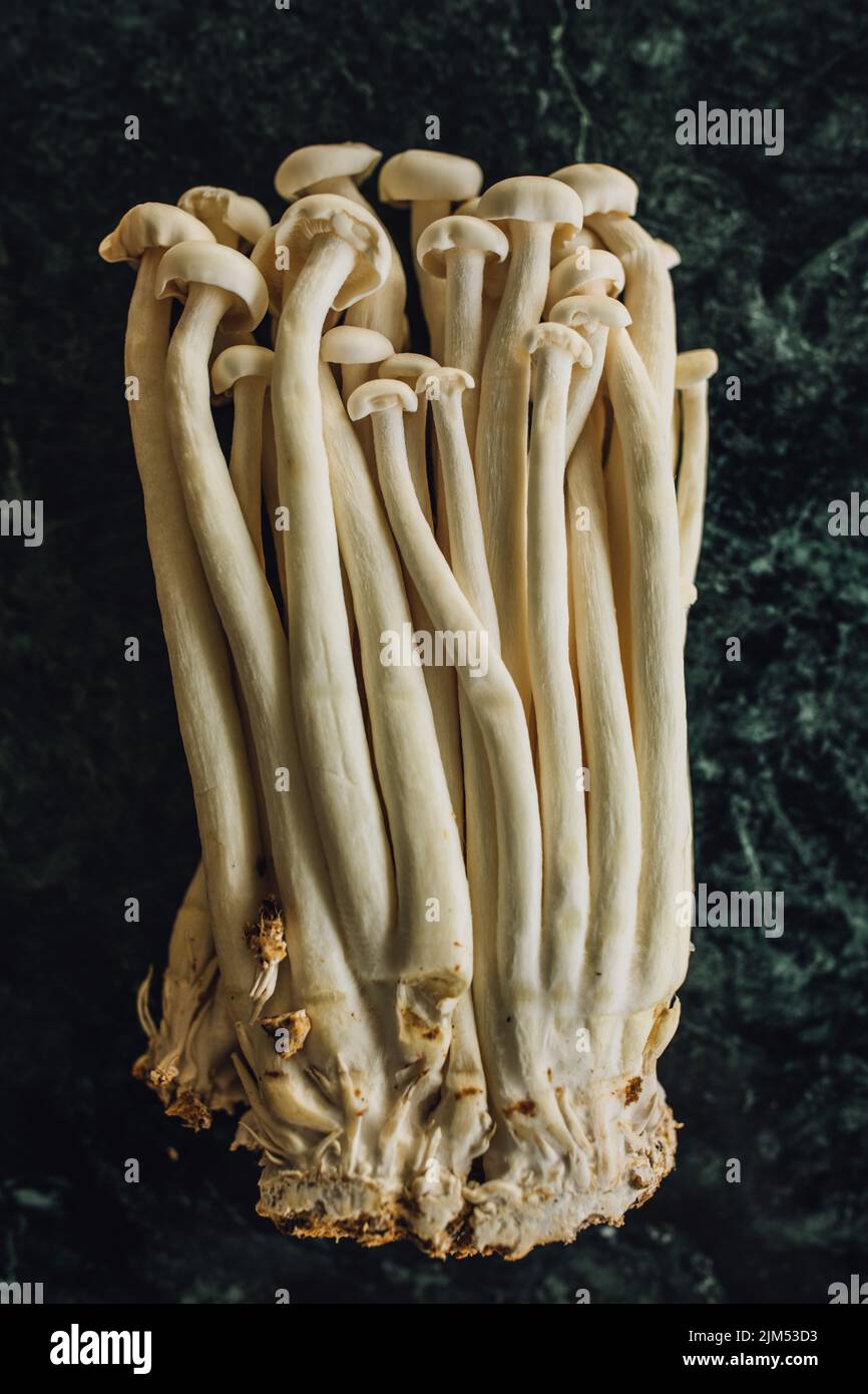 Ein Haufen weißer Enoki, Meeresfrüchte-Pilze aus China, eine beliebte Zutat für Suppen, vor allem in der ostasiatischen Küche Stockfoto