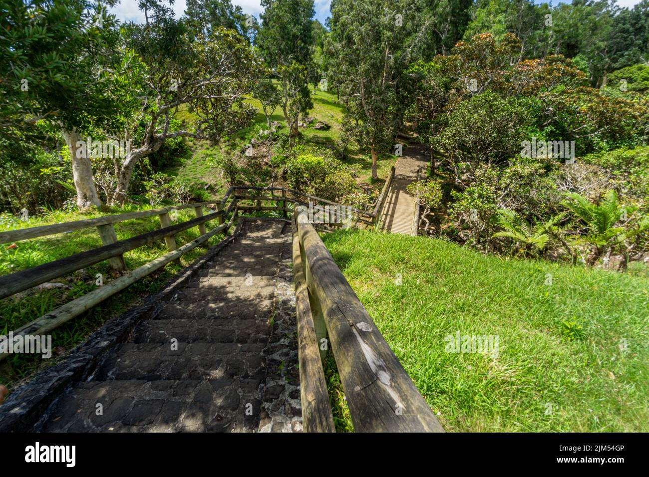 Holzbrücke in einem Naturpark bei Viewpoint, Mauritius Stockfoto