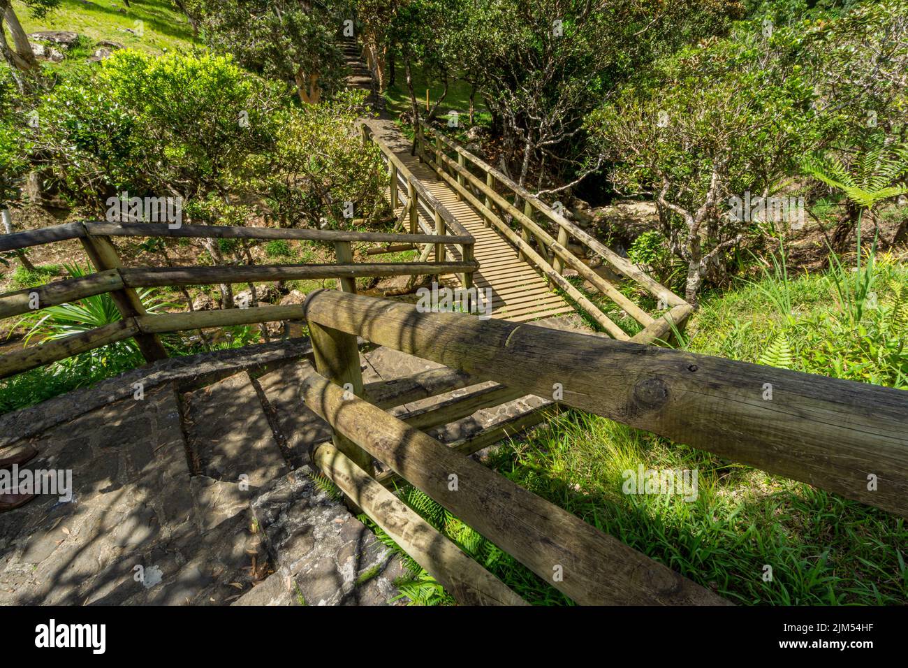 Holzbrücke in einem Naturpark bei Viewpoint, Mauritius Stockfoto