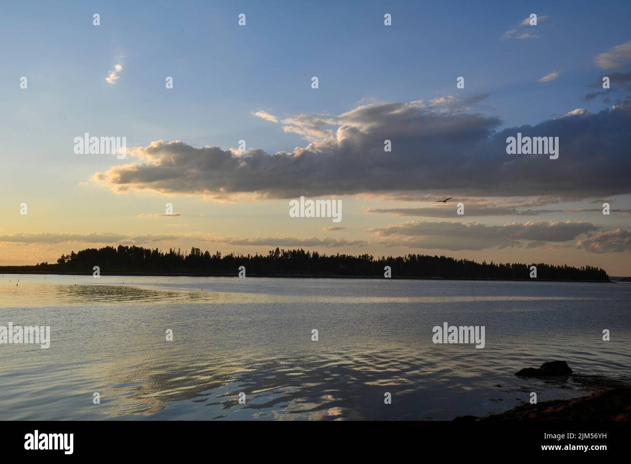 29. Juli 2022. Blick am späten Nachmittag auf Whaleboat Island. Casco Bay, Maine. Stockfoto
