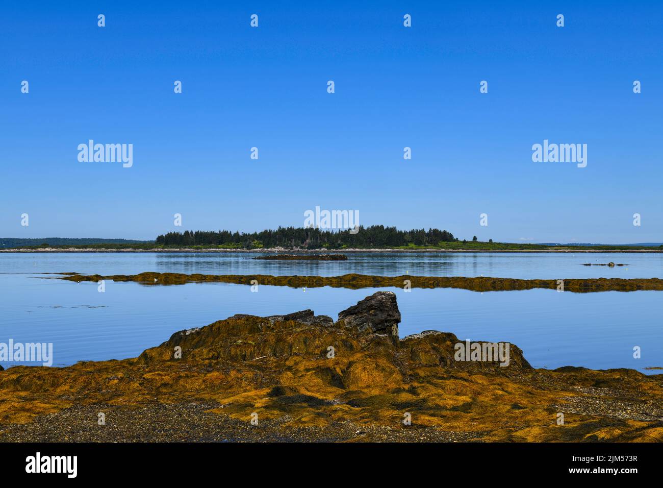 Juli 31 2022. Blick am Morgen auf Whaleboat Island. Casco Bay, Maine Stockfoto
