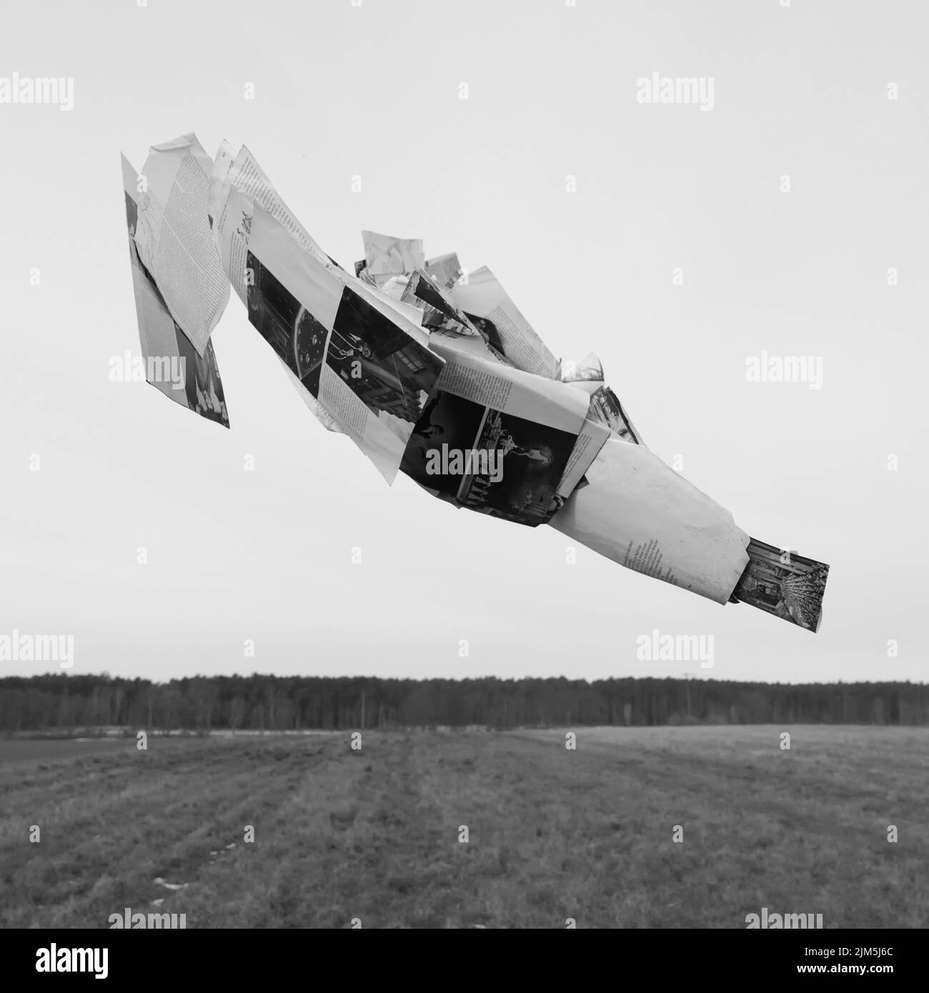 Eine Graustufenaufnahme von zerrissenen Papieren eines Buches, das über einer Wiese gegen den Himmel fliegt Stockfoto