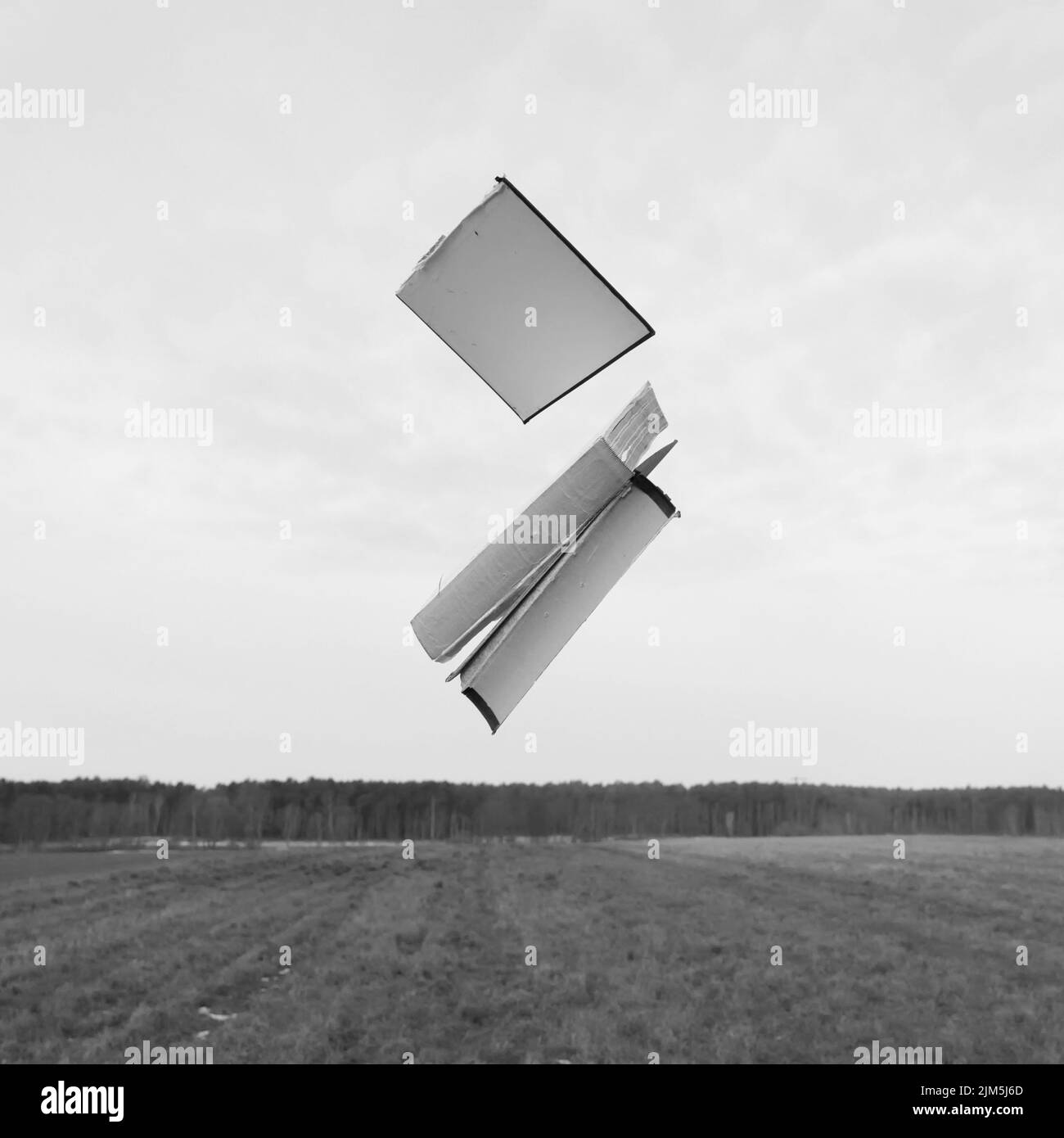 Eine Graustufenaufnahme von zerrissenen Papieren eines Buches, das über einer Wiese gegen den Himmel fliegt Stockfoto