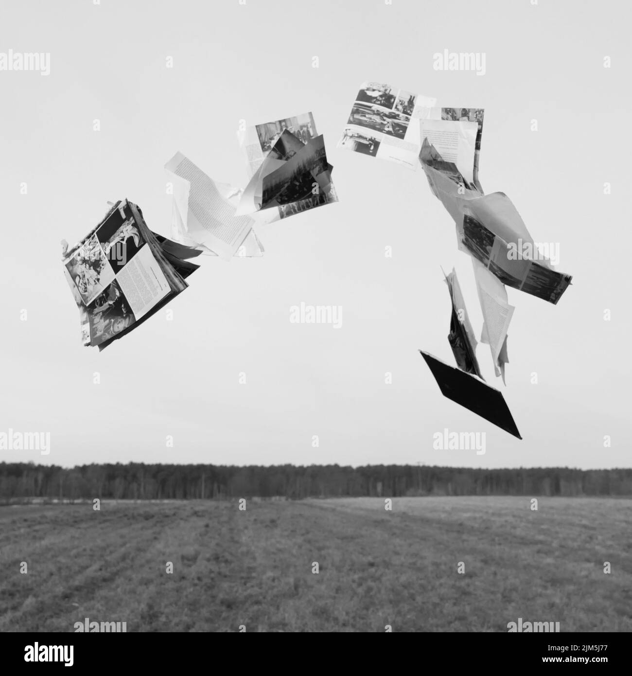 Eine Graustufenaufnahme von zerrissenen Papieren eines Buches, das über einer Wiese gegen den Himmel fliegt Stockfoto