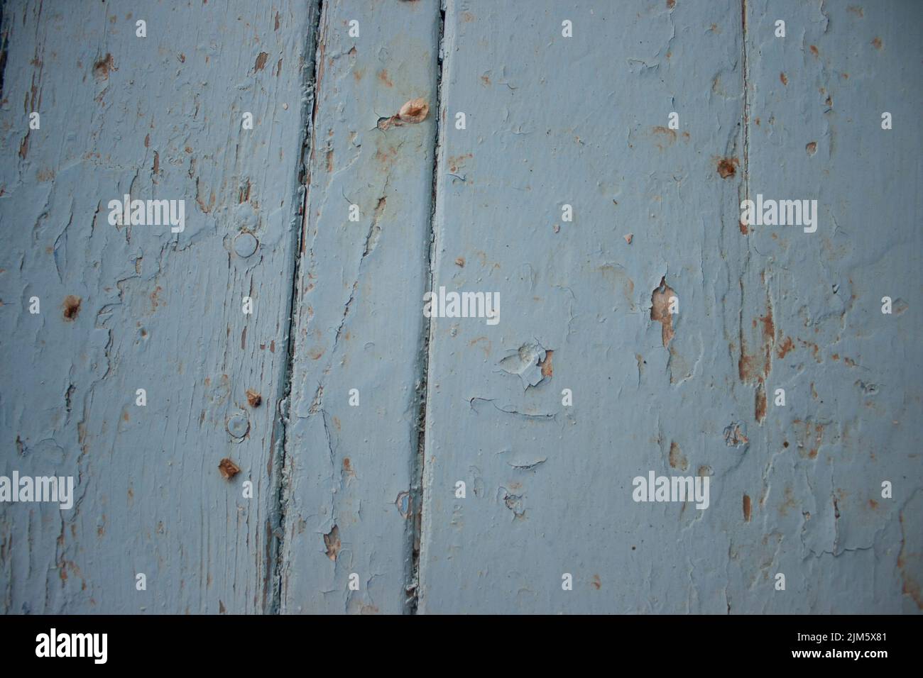 Eine alte Holzstruktur von weicher blauer Farbe Stockfoto
