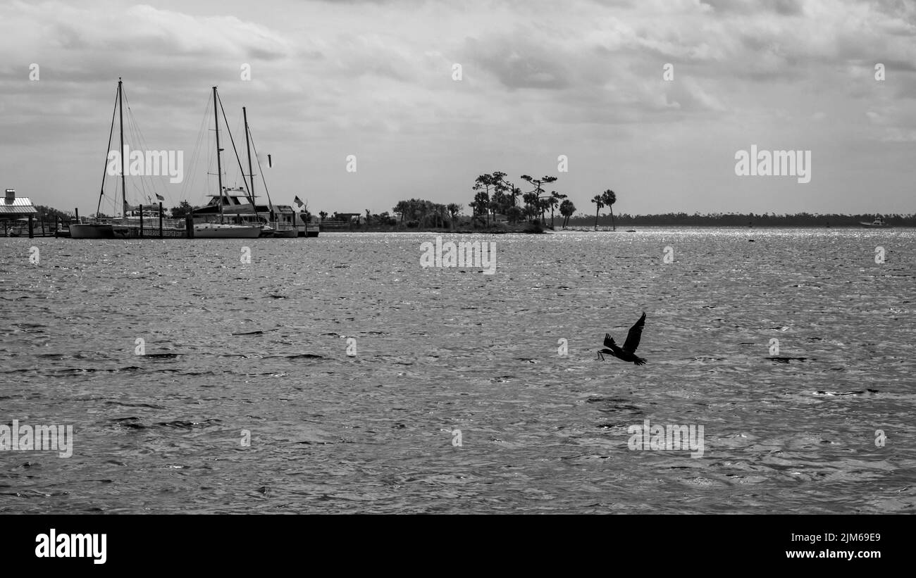 Eine Graustufe der Saint Andrew Bay in Panama City, FL Stockfoto