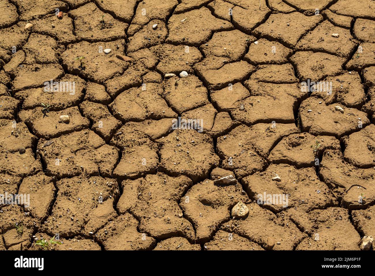 Baells Stausee am Standort Molí del Cavaller mit wenig Wasser aufgrund der Dürre im Sommer 2022 (Berguedà, Barcelona, Katalonien, Spanien) Stockfoto