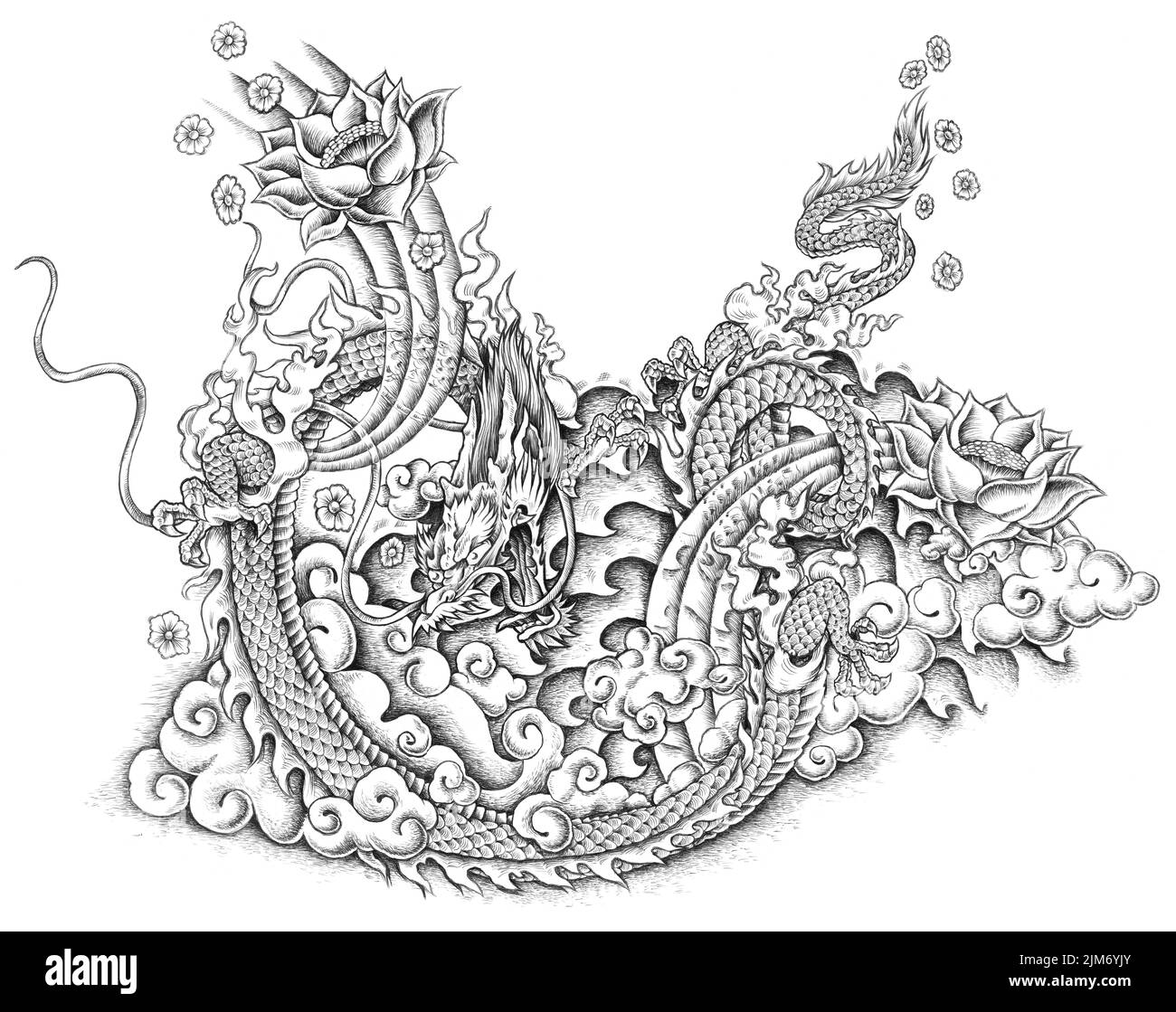 Eine digitale schwarz-weiße Tattoo-Illustration eines Drachen mit Details Stockfoto