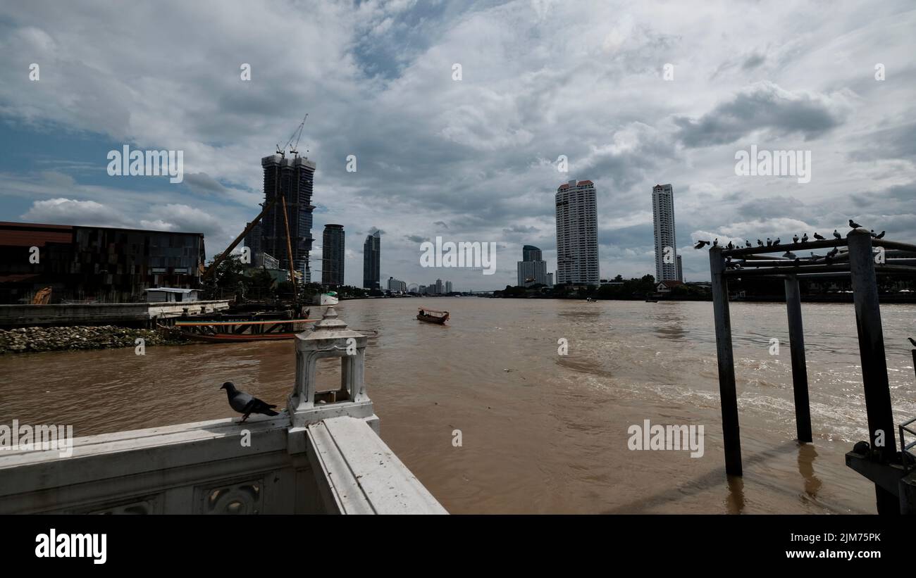 Tauben in der Stadt beobachten schmutziges Wasser Bangkok Thailand Stockfoto