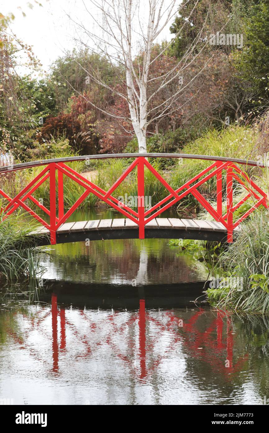 Eine vertikale Aufnahme einer kleinen Brücke auf einem Fluss mit einer Spiegelung von Bäumen Stockfoto