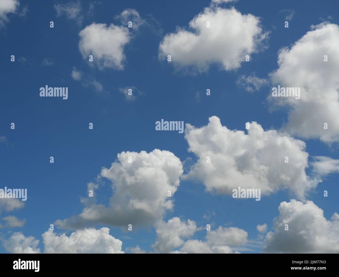 Cumulus Wolke auf schönen blauen Himmel im Tageslicht, Fluffy Wolken Formationen in tropischen Zone Stockfoto