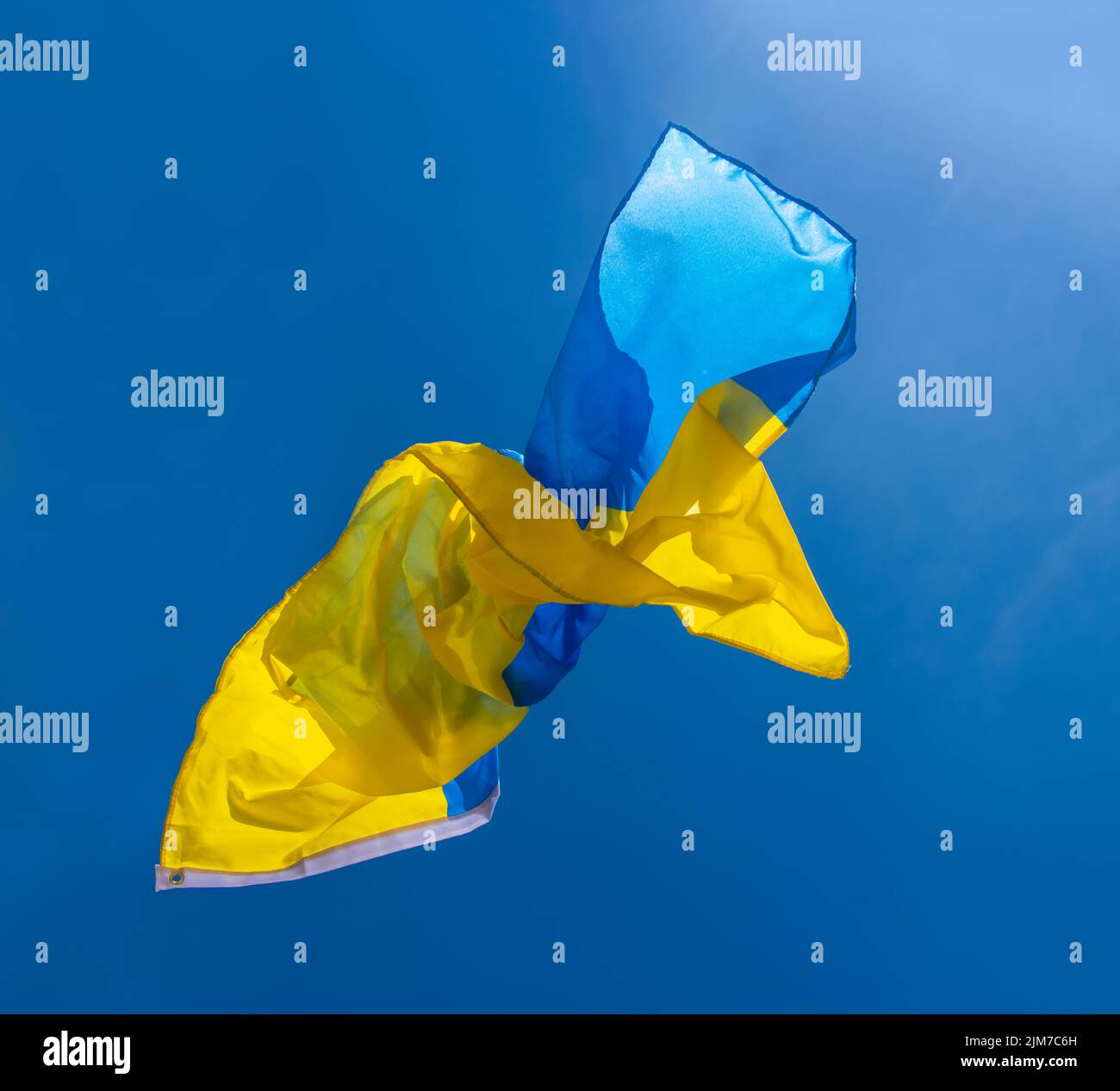 Die Nationalflagge der Ukraine fliegt am blauen Himmel Stockfoto