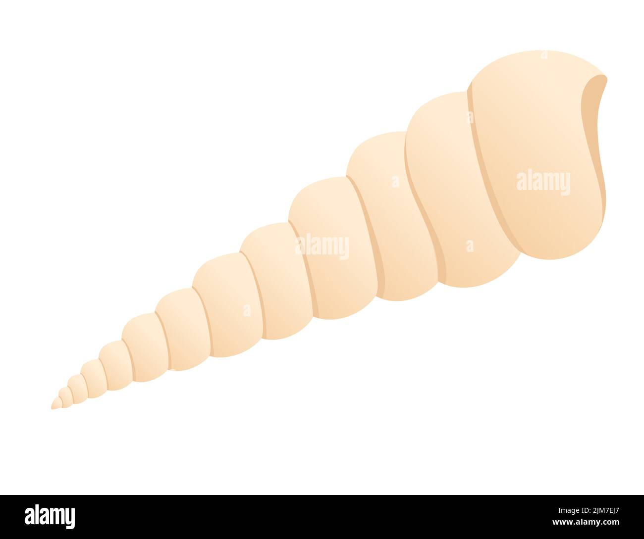 Bunte tropische Unterwasserschale Cartoon Design Vektor Illustration isoliert auf weißem Hintergrund Stock Vektor