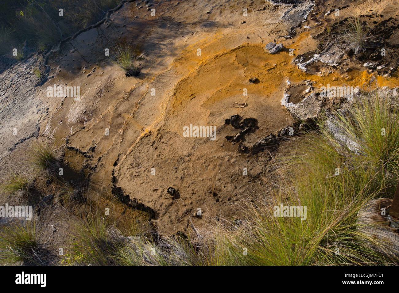 Talaroo Hot Springs produzieren Wasser bei etwa 60 Grad Celsius, das in