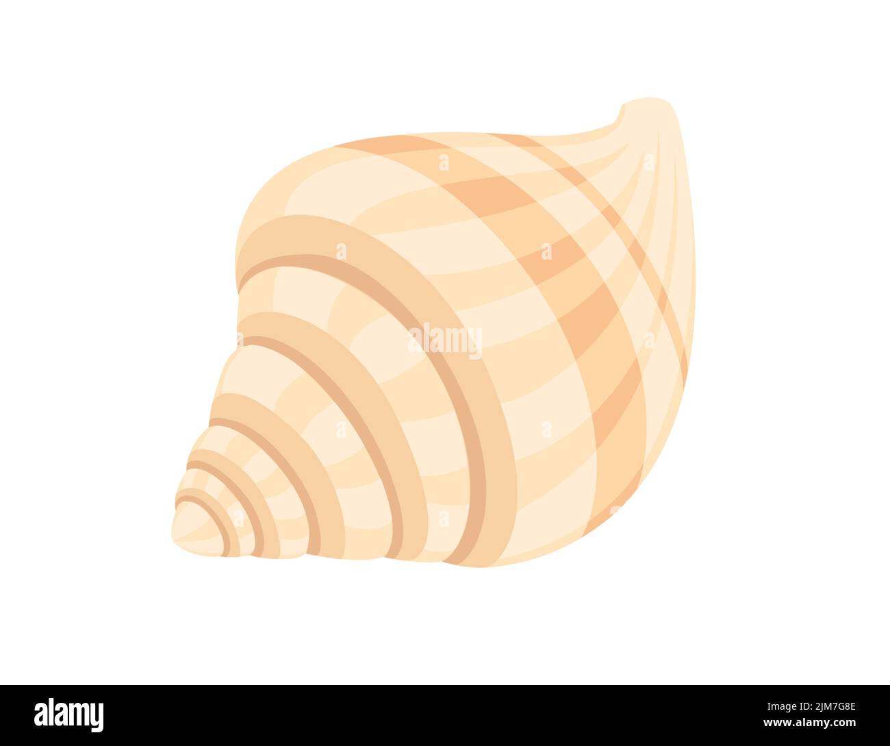 Bunte tropische Unterwasserschale Cartoon Design Vektor Illustration isoliert auf weißem Hintergrund Stock Vektor