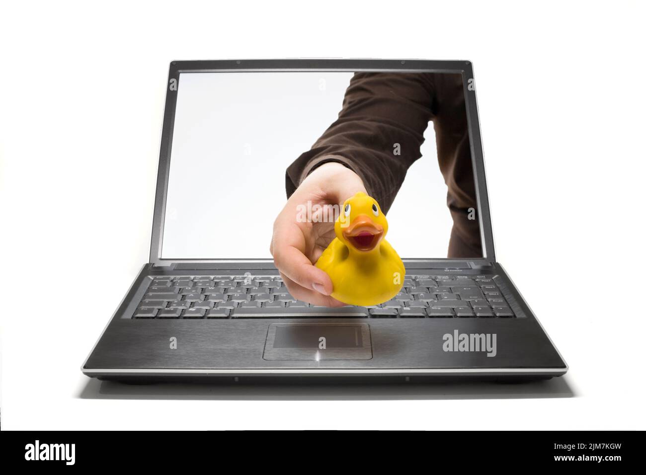 Ente Stockfoto