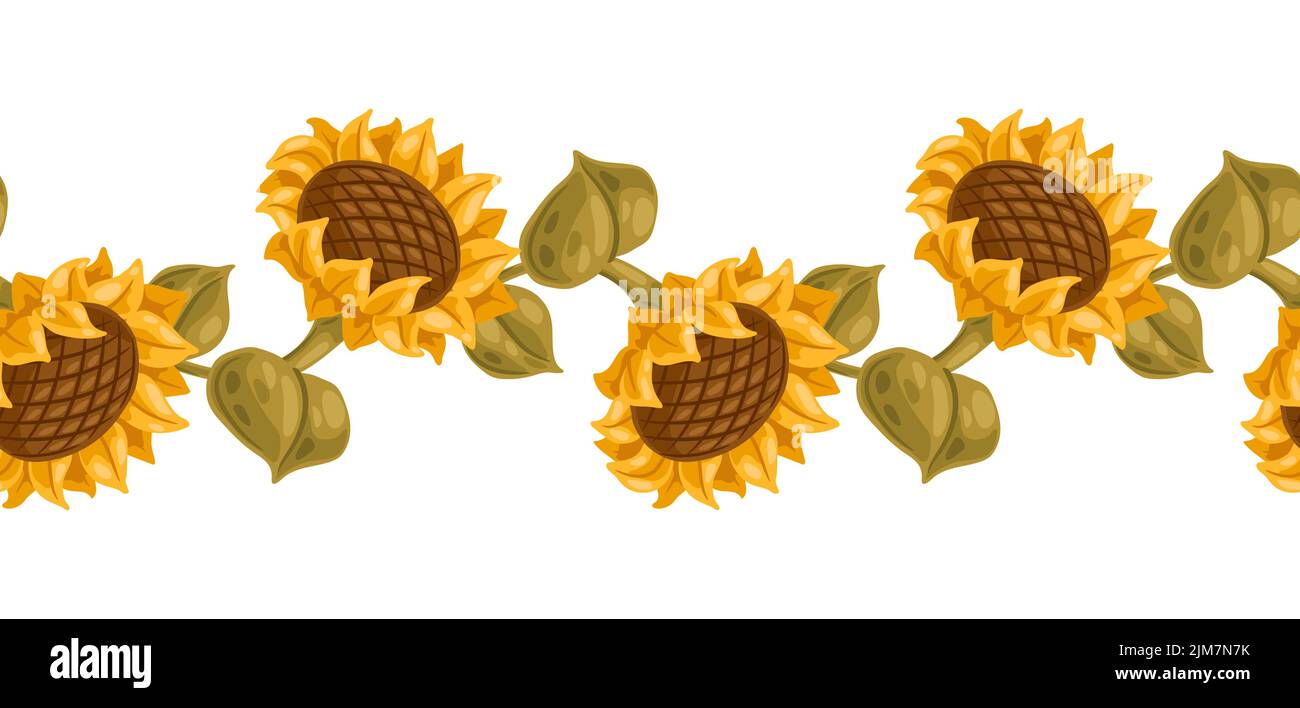 Nahtloses Muster mit Sonnenblumen. Bild der saisonalen Herbstpflanze. Stock Vektor