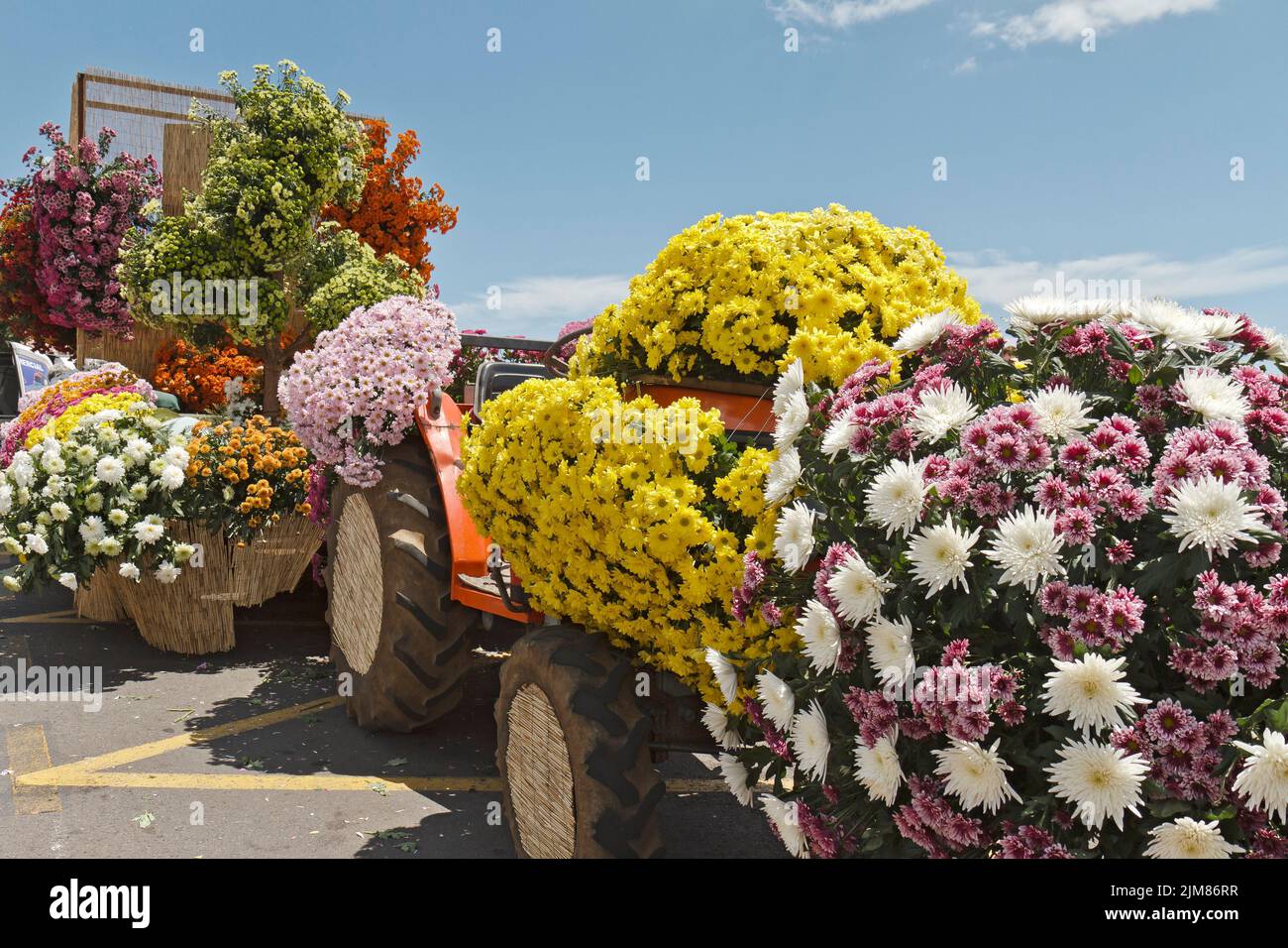 Madeira Portugal Funchal Flower Festival Float Stockfoto