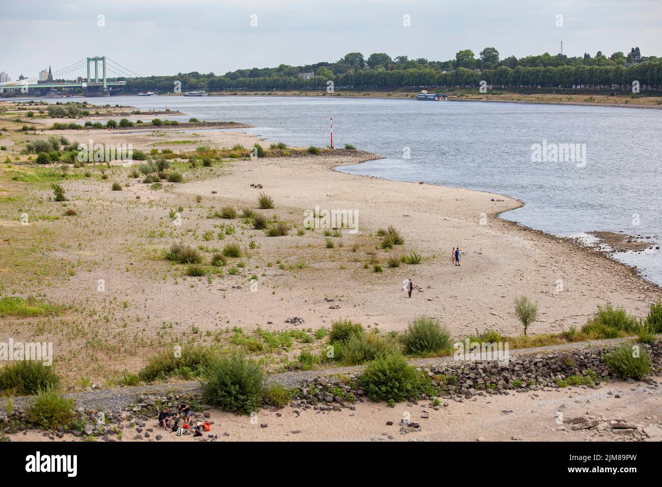Niederwasser des Rheins, 25. Juli 2022, Rheinufer in Köln-Poll, Blick auf die Rodenkirchener Brücke, Köln, Deutschland. Niedrigwas Stockfoto