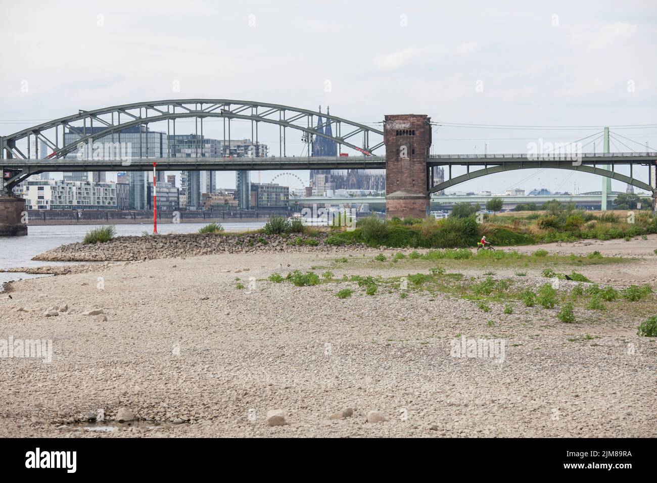 Niederwasser des Rheins, 25. Juli 2022, Rheinufer in Köln-Poll, Blick auf die Südbrücke, Rheinauer Hafen und den Dom, Col Stockfoto