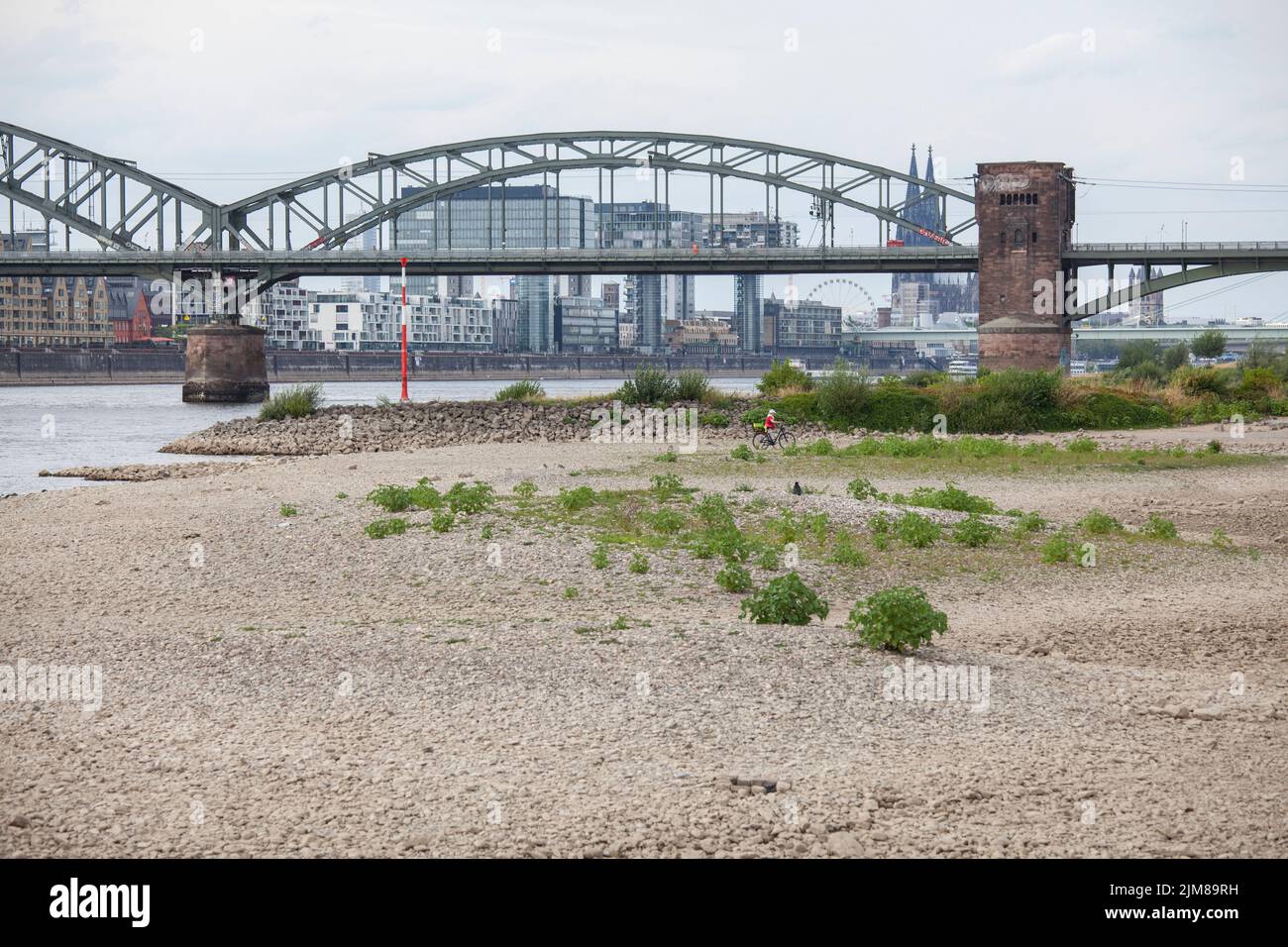 Niederwasser des Rheins, 25. Juli 2022, Rheinufer in Köln-Poll, Blick auf die Südbrücke, Rheinauer Hafen und den Dom, Col Stockfoto