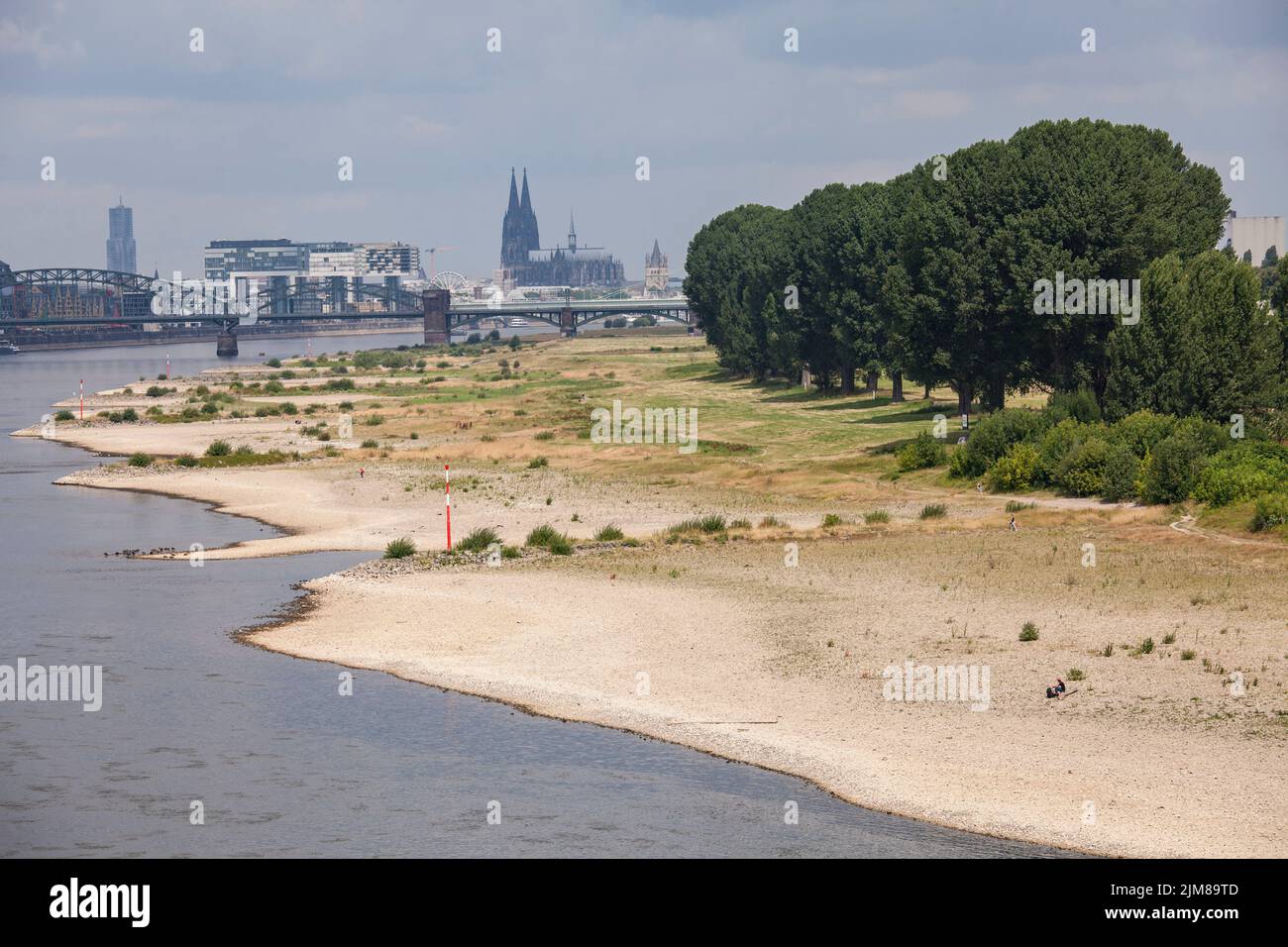 Niederwasser des Rheins, 26. Juli 2022, Rheinufer in KölnPoll, Blick