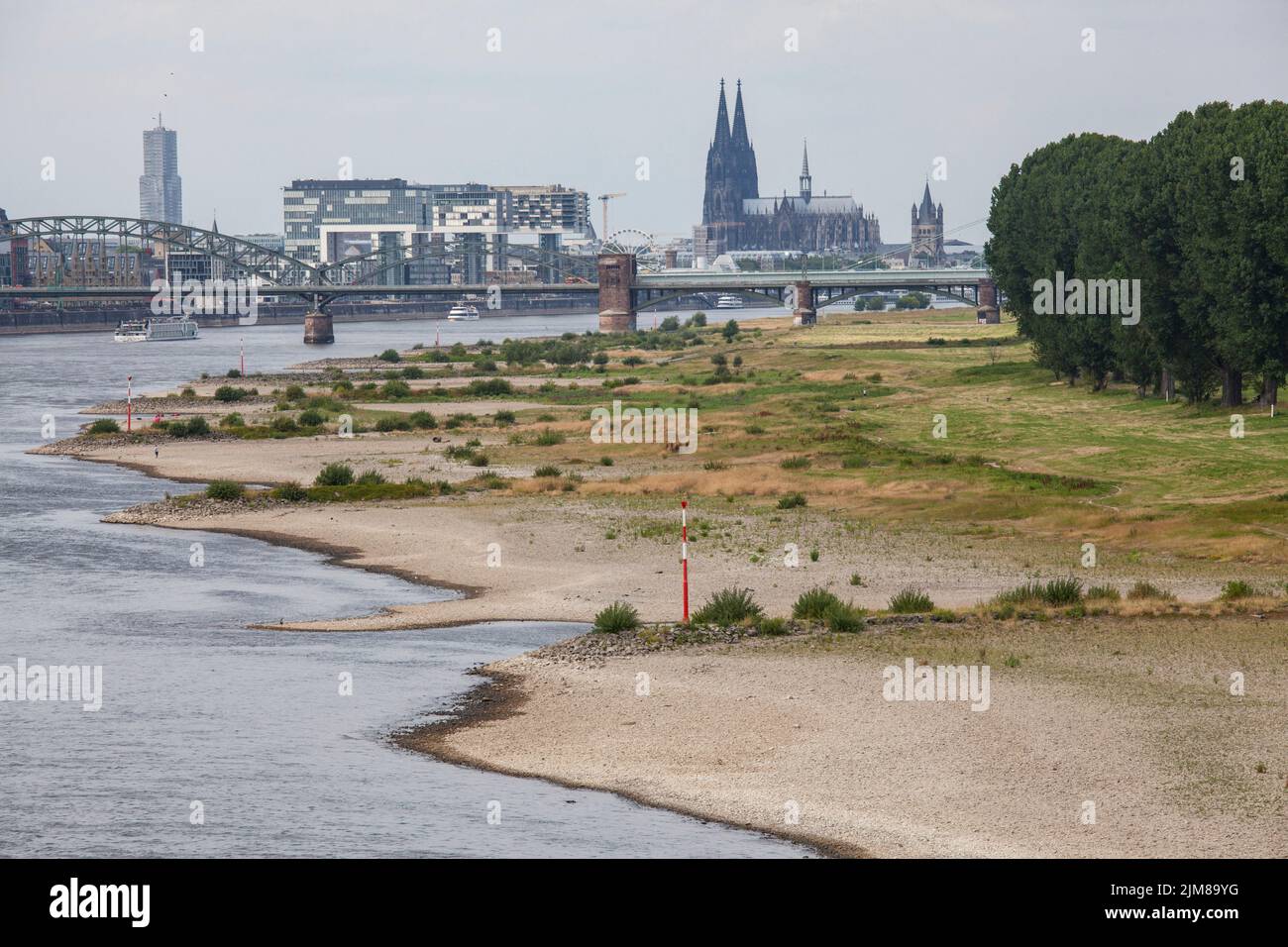 Niederwasser des Rheins, 25. Juli 2022, Rheinufer in Köln-Poll, Blick auf den Rheinauer Hafen und den Dom, Köln, Deutschland. Stockfoto