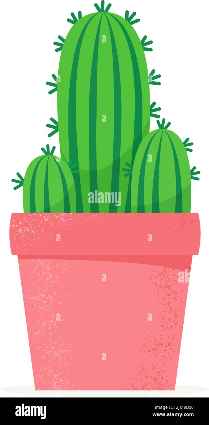 Kaktus im flachen Stil. Kakteen im Blumentopf zu Hause. Sukkkkkend. Vektorgrafik Stock Vektor